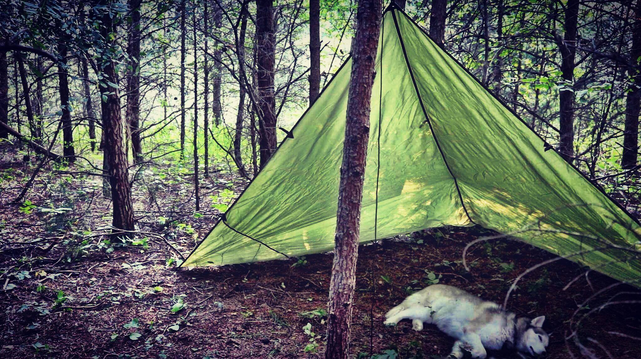 Snugpak All Weather Shelter & Considerations For Hostile Environments