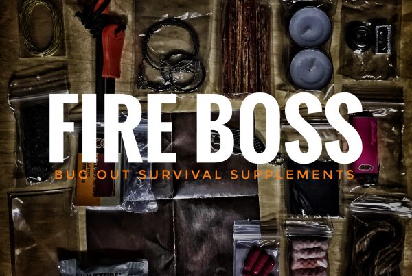 Fire BOSS
