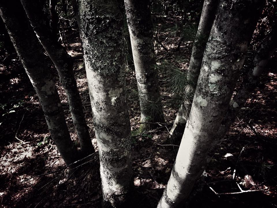 Solo Bushcraft Overnighter w/ One Survival Item