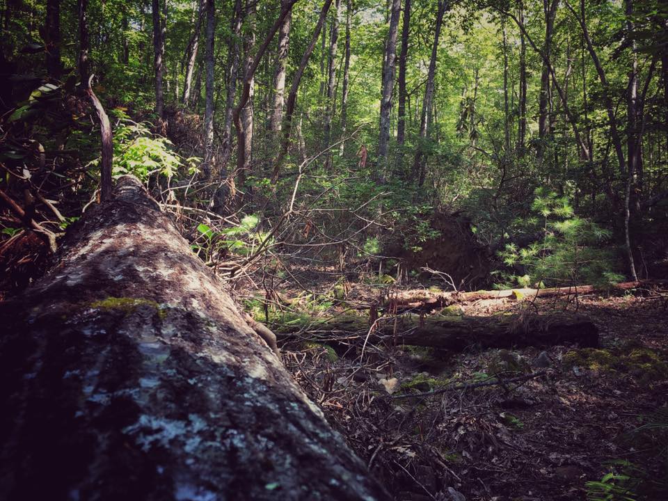 bushcraft overnighter