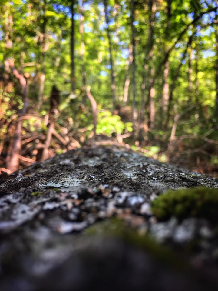 bushcraft overnighter