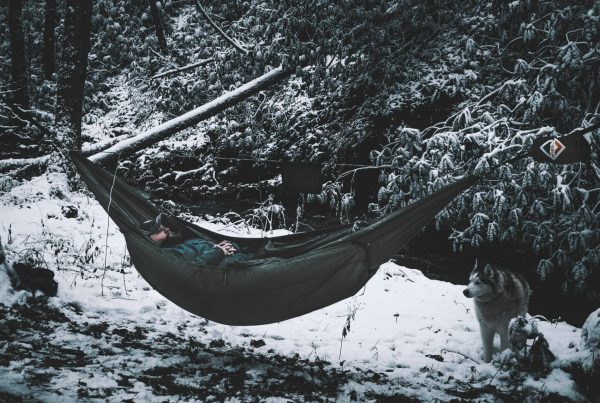 OneWind Hammock